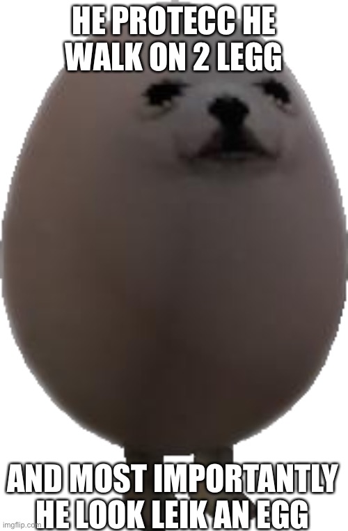 Eggdog | HE PROTECC HE WALK ON 2 LEGG; AND MOST IMPORTANTLY HE LOOK LEIK AN EGG | image tagged in eggdog transparent | made w/ Imgflip meme maker