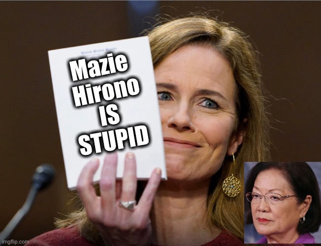 Mazie Hirono is Stupid | Mazie 
Hirono; IS
STUPID | image tagged in amy coney barrett,mazie hirono,scotus,rbg | made w/ Imgflip meme maker