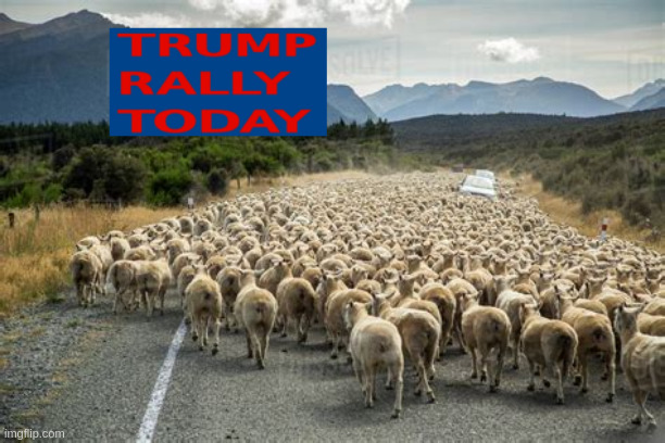 Trump rally today! | image tagged in donald trump | made w/ Imgflip meme maker