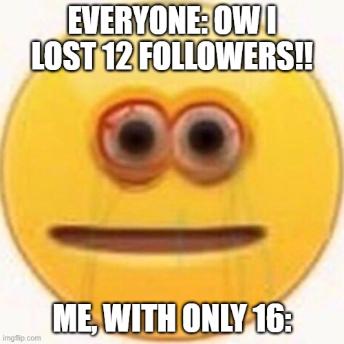this is fine..... | EVERYONE: OW I LOST 12 FOLLOWERS!! ME, WITH ONLY 16: | image tagged in ow,only 16,pls save me,don't unfollow,oof | made w/ Imgflip meme maker