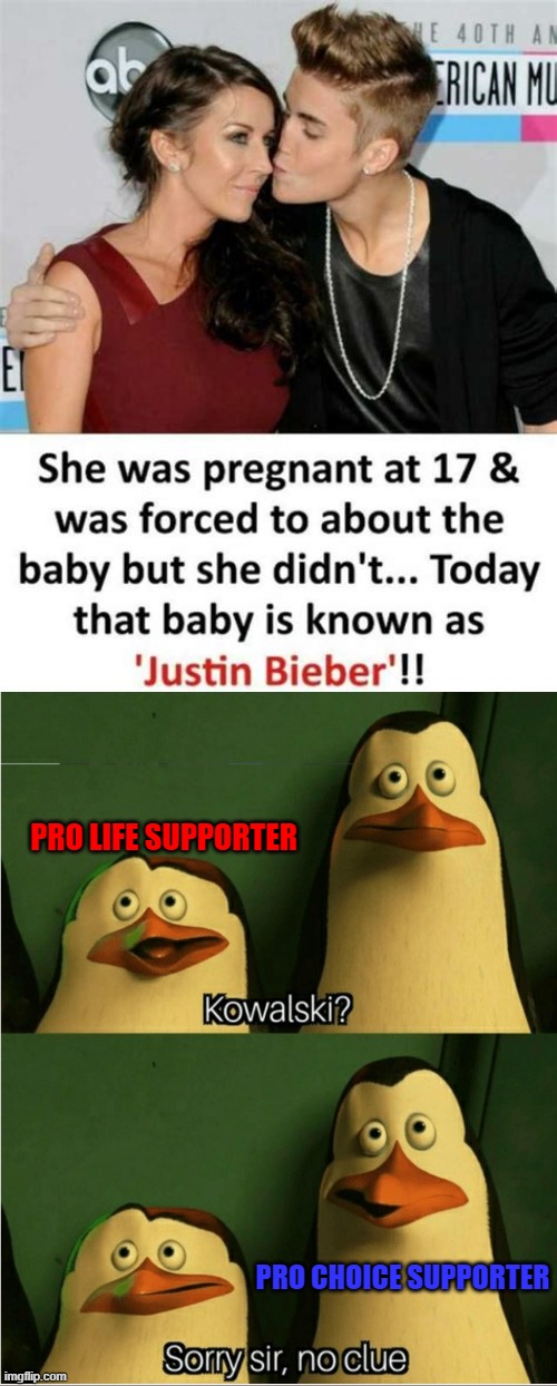 Maybe it's not such a bad thing, after all... | PRO LIFE SUPPORTER; PRO CHOICE SUPPORTER | image tagged in memes,abortion,kowalski,justin bieber | made w/ Imgflip meme maker