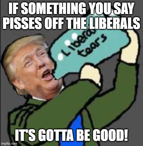 Liberal tears | IF SOMETHING YOU SAY PISSES OFF THE LIBERALS IT'S GOTTA BE GOOD! | image tagged in liberal tears | made w/ Imgflip meme maker
