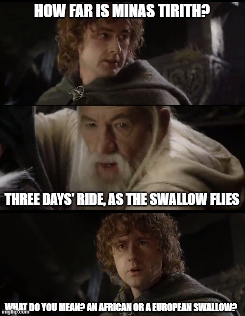 african or european swallow | HOW FAR IS MINAS TIRITH? THREE DAYS' RIDE, AS THE SWALLOW FLIES; WHAT DO YOU MEAN? AN AFRICAN OR A EUROPEAN SWALLOW? | image tagged in lotr,monty python and the holy grail | made w/ Imgflip meme maker