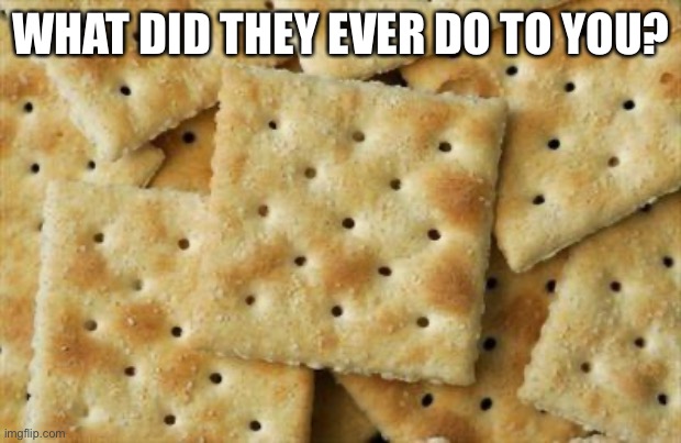 Crackers | WHAT DID THEY EVER DO TO YOU? | image tagged in crackers | made w/ Imgflip meme maker