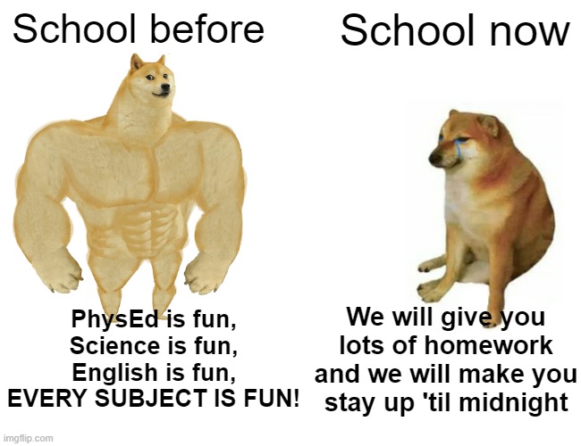 School sucks | School before; School now; PhysEd is fun, Science is fun, English is fun, EVERY SUBJECT IS FUN! We will give you lots of homework and we will make you stay up 'til midnight | image tagged in memes,buff doge vs cheems | made w/ Imgflip meme maker