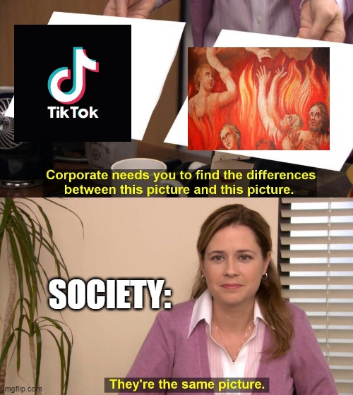 i hate tik tok | SOCIETY: | image tagged in they are the same picture | made w/ Imgflip meme maker