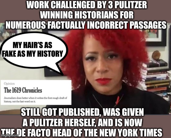 Privileged | WORK CHALLENGED BY 3 PULITZER WINNING HISTORIANS FOR NUMEROUS FACTUALLY INCORRECT PASSAGES; MY HAIR’S AS FAKE AS MY HISTORY; STILL GOT PUBLISHED, WAS GIVEN A PULITZER HERSELF, AND IS NOW THE DE FACTO HEAD OF THE NEW YORK TIMES | image tagged in new york times,blm,dnc,democrats | made w/ Imgflip meme maker