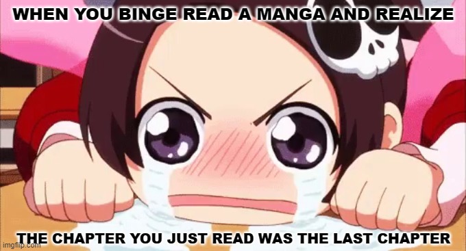 Sadness | WHEN YOU BINGE READ A MANGA AND REALIZE; THE CHAPTER YOU JUST READ WAS THE LAST CHAPTER | image tagged in memes,manga,relatable | made w/ Imgflip meme maker