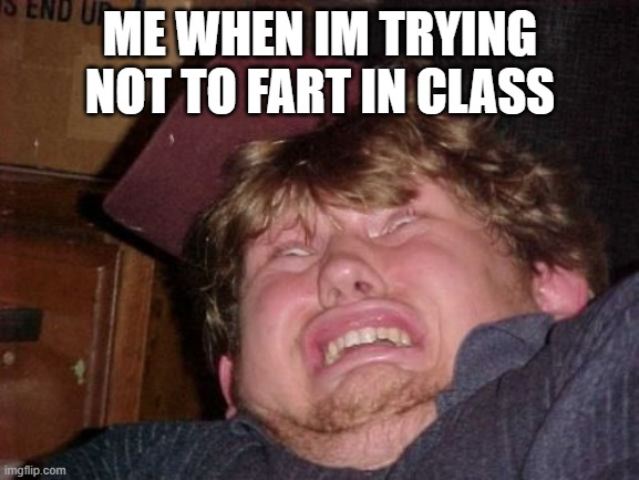 WTF Meme |  ME WHEN IM TRYING NOT TO FART IN CLASS | image tagged in memes,wtf | made w/ Imgflip meme maker
