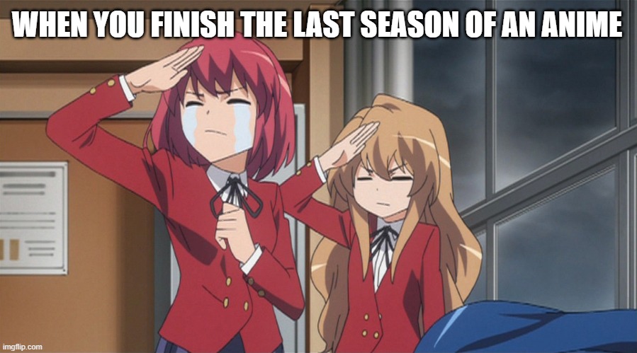 Salute | WHEN YOU FINISH THE LAST SEASON OF AN ANIME | image tagged in memes,anime | made w/ Imgflip meme maker