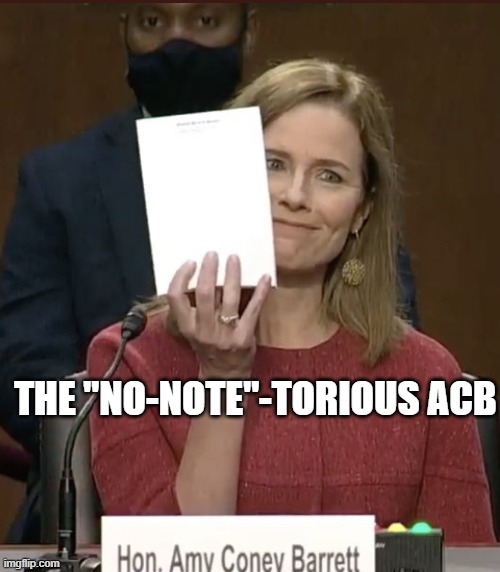 Amy Coney Barrett | THE "NO-NOTE"-TORIOUS ACB | image tagged in amy coney barrett | made w/ Imgflip meme maker