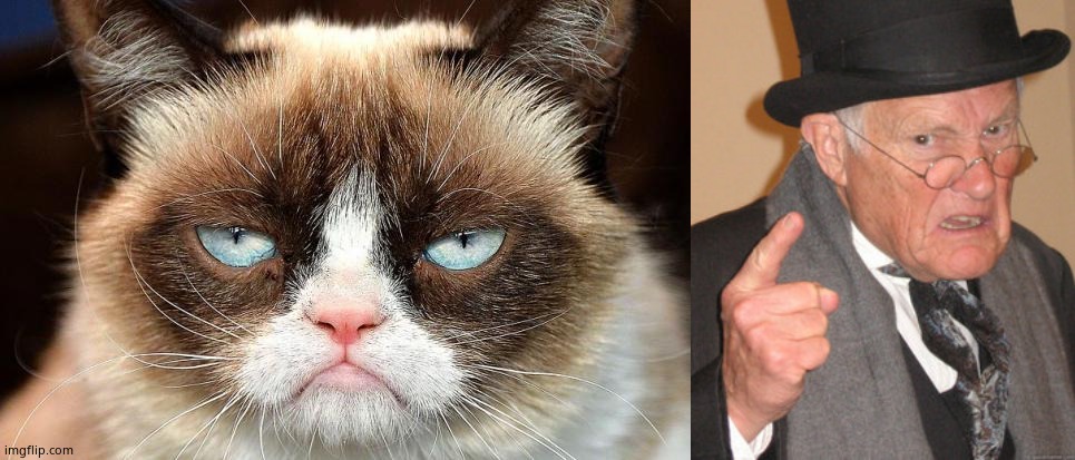image tagged in memes,back in my day,grumpy cat not amused | made w/ Imgflip meme maker