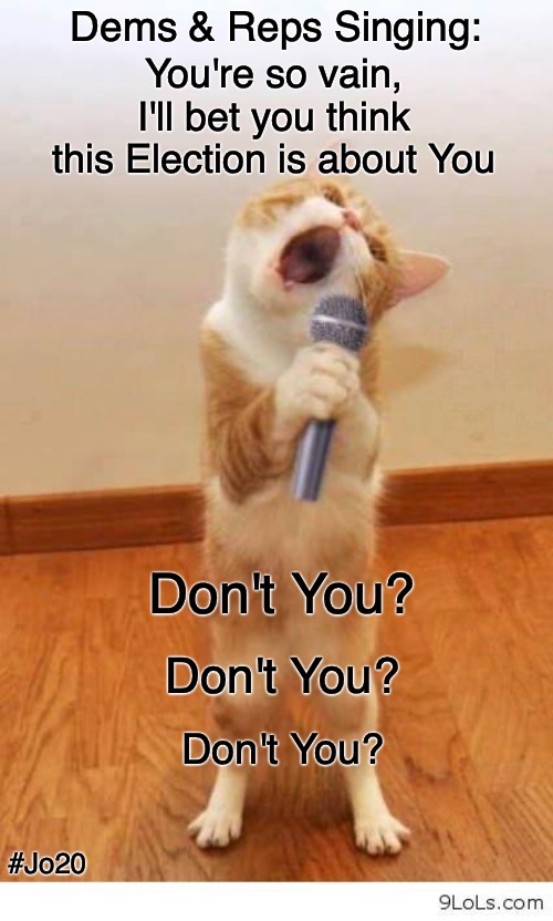 Why Yes, Yes I do... | Dems & Reps Singing:; You're so vain, I'll bet you think this Election is about You; Don't You? Don't You? Don't You? #Jo20 | image tagged in cat singer,election,vote,democrat,republican,jorgensen for potus | made w/ Imgflip meme maker