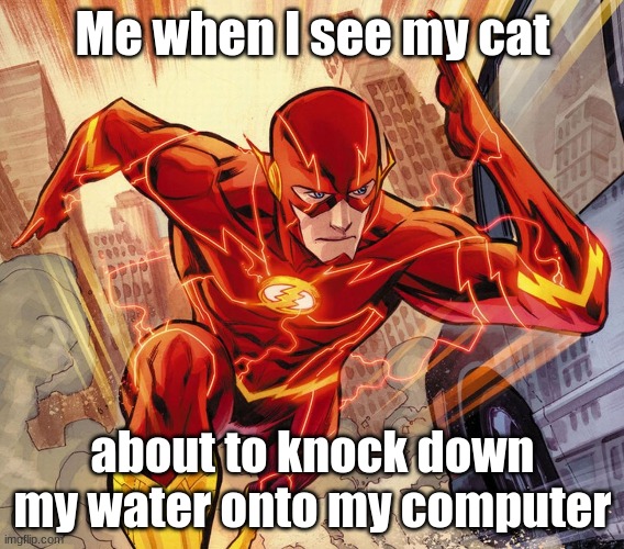The Flash | Me when I see my cat; about to knock down my water onto my computer | image tagged in the flash,cat,water,cat knocking down water | made w/ Imgflip meme maker