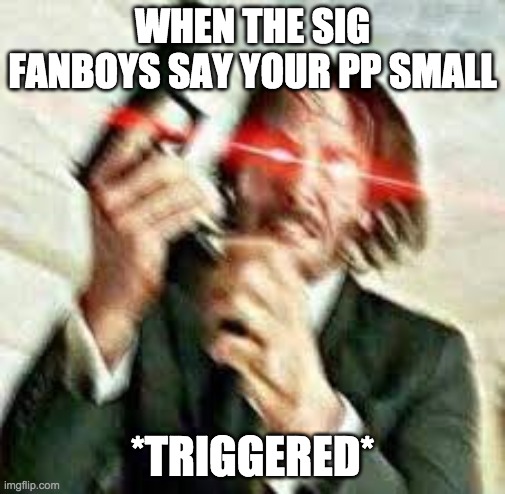 Angry Glock Fanboys' Butthurt | WHEN THE SIG FANBOYS SAY YOUR PP SMALL; *TRIGGERED* | image tagged in triggered john wick | made w/ Imgflip meme maker
