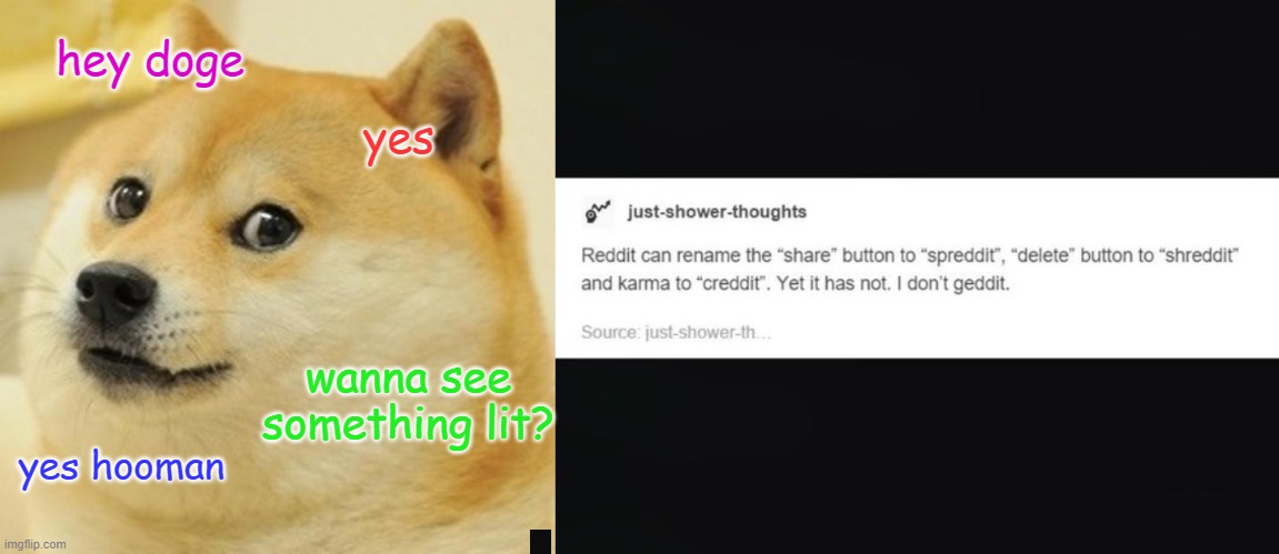 i dont geddit | hey doge; yes; wanna see something lit? yes hooman | image tagged in memes,doge | made w/ Imgflip meme maker
