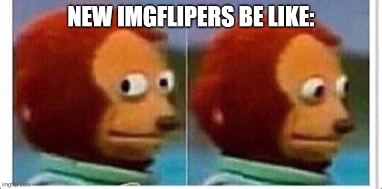 Awkward muppet | NEW IMGFLIPERS BE LIKE: | image tagged in awkward muppet | made w/ Imgflip meme maker