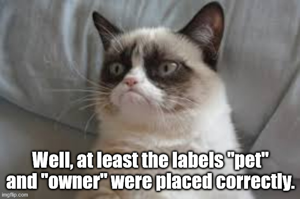 Grumpy cat | Well, at least the labels "pet" and "owner" were placed correctly. | image tagged in grumpy cat | made w/ Imgflip meme maker