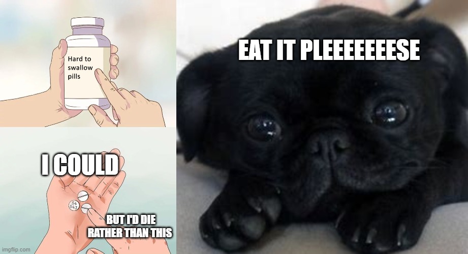 EAT IT PLEEEEEEESE; I COULD; BUT I'D DIE RATHER THAN THIS | image tagged in memes,hard to swallow pills | made w/ Imgflip meme maker