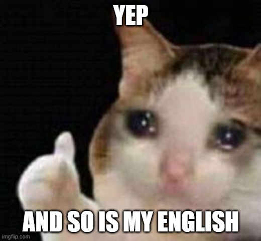 Approved crying cat | YEP AND SO IS MY ENGLISH | image tagged in approved crying cat | made w/ Imgflip meme maker