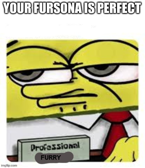 professional spongebob | YOUR FURSONA IS PERFECT FURRY | image tagged in professional spongebob | made w/ Imgflip meme maker