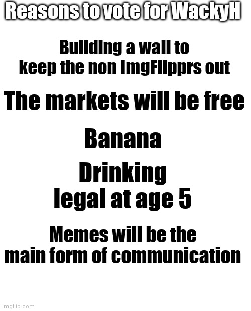 Reasons to vote for WackyH; Building a wall to keep the non ImgFlipprs out; The markets will be free; Banana; Drinking legal at age 5; Memes will be the main form of communication | image tagged in blank white template | made w/ Imgflip meme maker