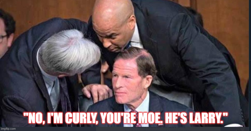 Three Stooges | "NO, I'M CURLY, YOU'RE MOE. HE'S LARRY." | image tagged in democrats,senate clowns | made w/ Imgflip meme maker