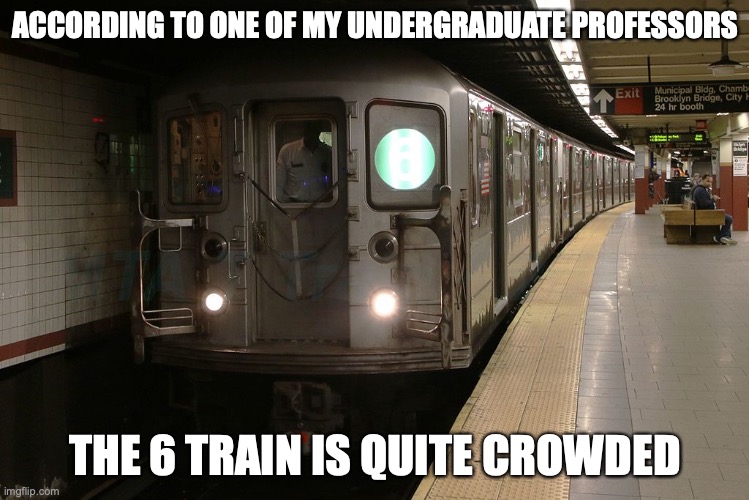 6 Train | ACCORDING TO ONE OF MY UNDERGRADUATE PROFESSORS; THE 6 TRAIN IS QUITE CROWDED | image tagged in new york city,public transport,memes | made w/ Imgflip meme maker