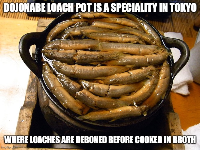 Dojonabe | DOJONABE LOACH POT IS A SPECIALITY IN TOKYO; WHERE LOACHES ARE DEBONED BEFORE COOKED IN BROTH | image tagged in food,memes | made w/ Imgflip meme maker