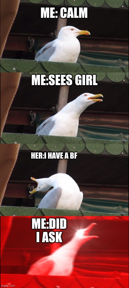 all girls do this | ME: CALM; ME:SEES GIRL; HER:I HAVE A BF; ME:DID I ASK | image tagged in memes,inhaling seagull | made w/ Imgflip meme maker