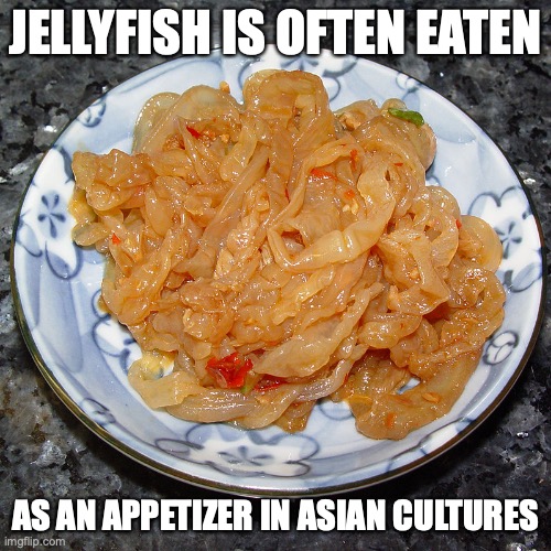 Jellyfish | JELLYFISH IS OFTEN EATEN; AS AN APPETIZER IN ASIAN CULTURES | image tagged in jellyfish,food,memes | made w/ Imgflip meme maker