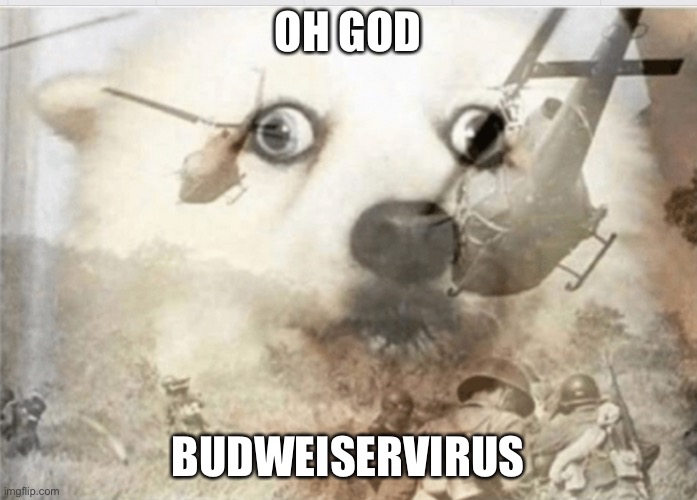PTSD dog | OH GOD BUDWEISERVIRUS | image tagged in ptsd dog | made w/ Imgflip meme maker