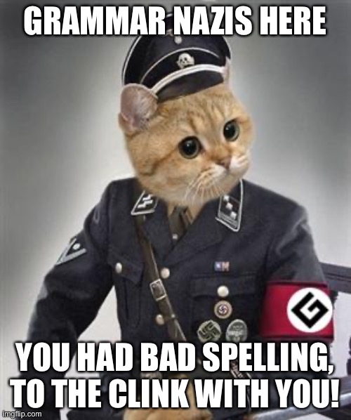 Grammar Nazi Cat | GRAMMAR NAZIS HERE YOU HAD BAD SPELLING, TO THE CLINK WITH YOU! | image tagged in grammar nazi cat | made w/ Imgflip meme maker