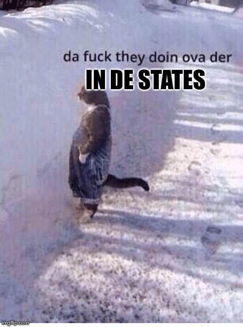 Da fuq they doing over there | IN DE STATES | image tagged in da fuq they doing over there | made w/ Imgflip meme maker