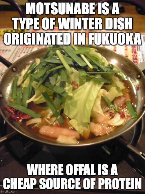 Motsunabe | MOTSUNABE IS A TYPE OF WINTER DISH ORIGINATED IN FUKUOKA; WHERE OFFAL IS A CHEAP SOURCE OF PROTEIN | image tagged in memes,food | made w/ Imgflip meme maker