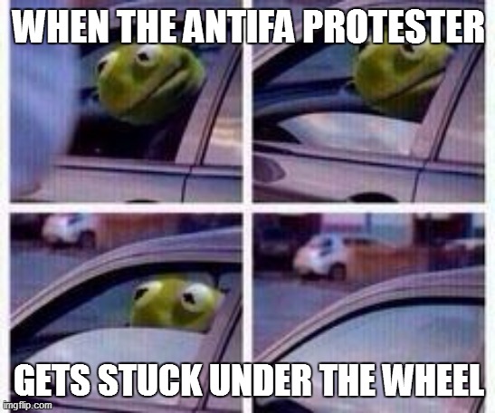 Kermit rolls up window | WHEN THE ANTIFA PROTESTER; GETS STUCK UNDER THE WHEEL | image tagged in kermit rolls up window | made w/ Imgflip meme maker