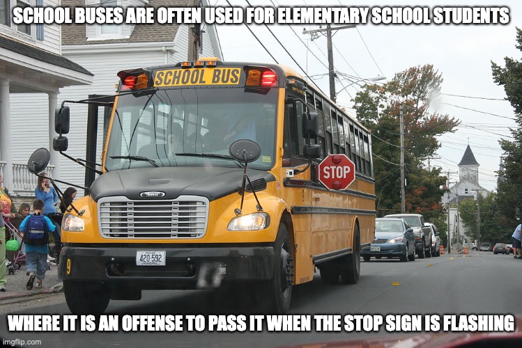 School Bus | SCHOOL BUSES ARE OFTEN USED FOR ELEMENTARY SCHOOL STUDENTS; WHERE IT IS AN OFFENSE TO PASS IT WHEN THE STOP SIGN IS FLASHING | image tagged in school bus,memes | made w/ Imgflip meme maker