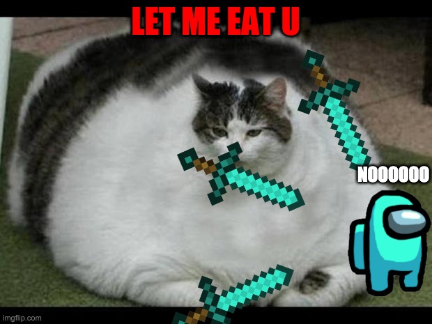 fat cat 2 | LET ME EAT U; NOOOOOO | image tagged in fat cat 2 | made w/ Imgflip meme maker