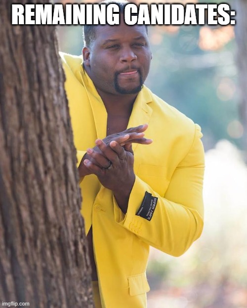 Anthony Adams Rubbing Hands | REMAINING CANIDATES: | image tagged in anthony adams rubbing hands | made w/ Imgflip meme maker