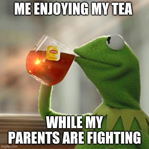 memes | ME ENJOYING MY TEA; WHILE MY PARENTS ARE FIGHTING | image tagged in memes,but that's none of my business,kermit the frog | made w/ Imgflip meme maker
