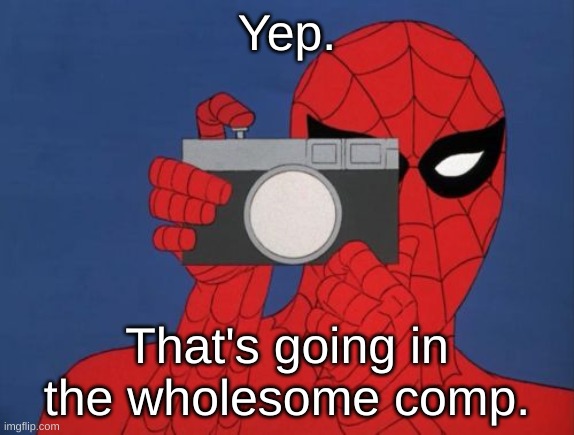 Spiderman Camera Meme | Yep. That's going in the wholesome comp. | image tagged in memes,spiderman camera,spiderman | made w/ Imgflip meme maker