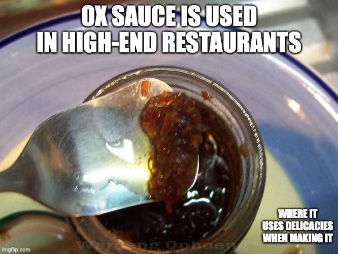XO Sauce | OX SAUCE IS USED IN HIGH-END RESTAURANTS; WHERE IT USES DELICACIES WHEN MAKING IT | image tagged in sauce,food,memes | made w/ Imgflip meme maker