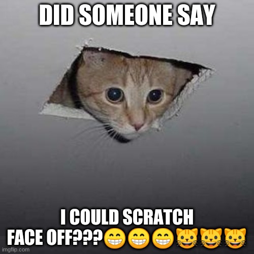 Ceiling Cat Meme | DID SOMEONE SAY; I COULD SCRATCH FACE OFF???😁😁😁🐱🐱🐱 | image tagged in memes,ceiling cat | made w/ Imgflip meme maker