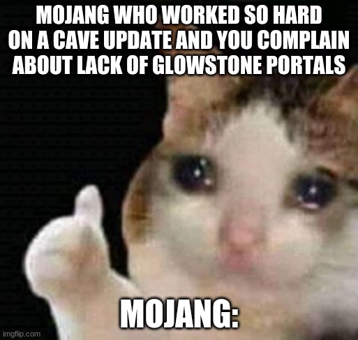 sad thumbs up cat | MOJANG WHO WORKED SO HARD ON A CAVE UPDATE AND YOU COMPLAIN ABOUT LACK OF GLOWSTONE PORTALS; MOJANG: | image tagged in sad thumbs up cat | made w/ Imgflip meme maker