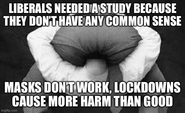 Told you so - WHO study... | LIBERALS NEEDED A STUDY BECAUSE THEY DON’T HAVE ANY COMMON SENSE; MASKS DON’T WORK, LOCKDOWNS CAUSE MORE HARM THAN GOOD | image tagged in head up ass | made w/ Imgflip meme maker