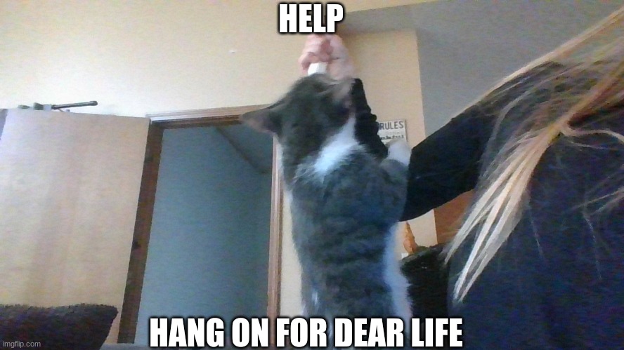 Hang On for dear life | HELP; HANG ON FOR DEAR LIFE | image tagged in please help me | made w/ Imgflip meme maker