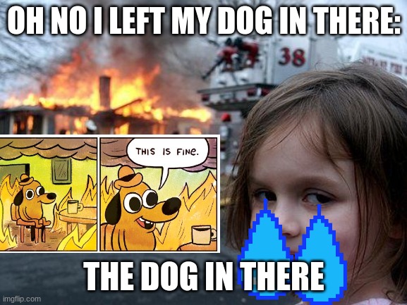 Disaster Girl Meme | OH NO I LEFT MY DOG IN THERE:; THE DOG IN THERE | image tagged in memes,disaster girl | made w/ Imgflip meme maker