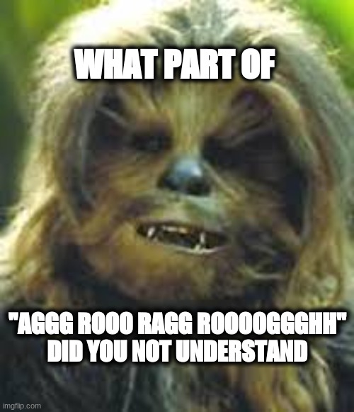 the gaming truth | WHAT PART OF; ''AGGG ROOO RAGG ROOOOGGGHH''
DID YOU NOT UNDERSTAND | image tagged in chubaca | made w/ Imgflip meme maker