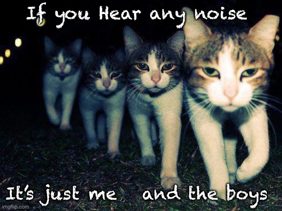 Wrong Neighboorhood Cats | If you Hear any noise; It’s just me   and the boys | image tagged in memes,wrong neighboorhood cats | made w/ Imgflip meme maker
