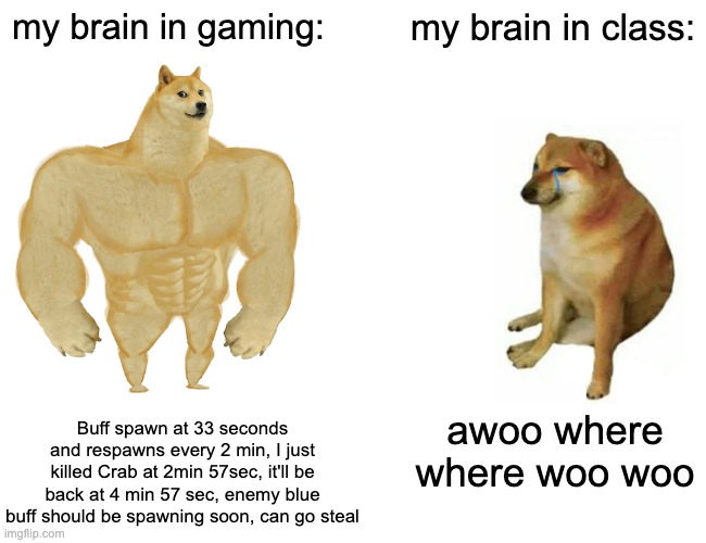 Buff Doge vs. Cheems Meme | my brain in gaming:; my brain in class:; Buff spawn at 33 seconds and respawns every 2 min, I just killed Crab at 2min 57sec, it'll be back at 4 min 57 sec, enemy blue buff should be spawning soon, can go steal; awoo where where woo woo | image tagged in memes,buff doge vs cheems | made w/ Imgflip meme maker